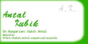 antal kubik business card